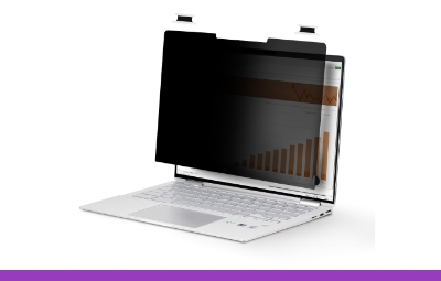 Privacy Screen Filters and Asset Security