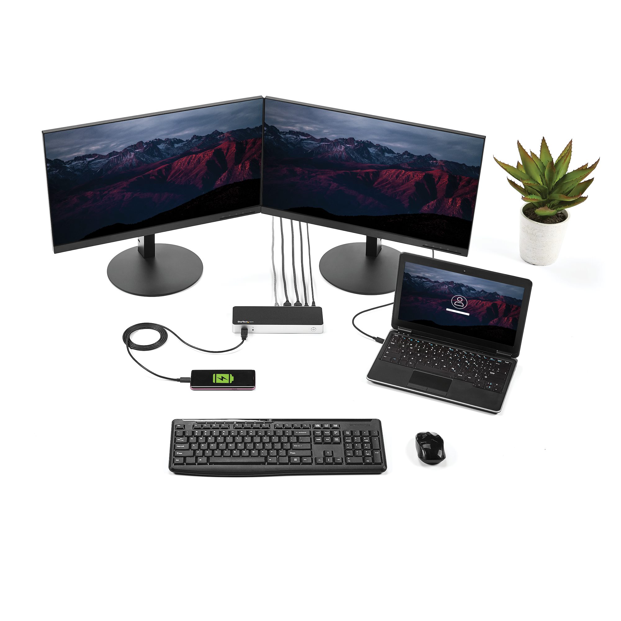 laptop monitor station