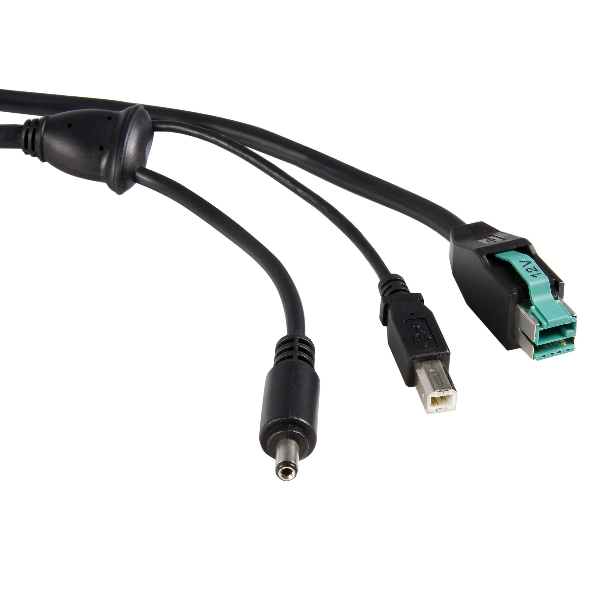 entrada brindis tira 12ft 12V to M Barrel + Powered USB Cable - Powered USB Cables | StarTech.com