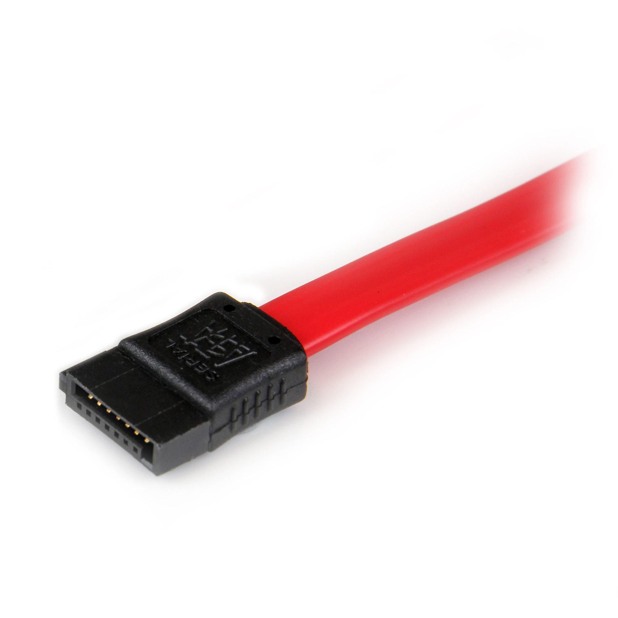 StarTech.com - RTPAC1013 - cable de la extensión del cable