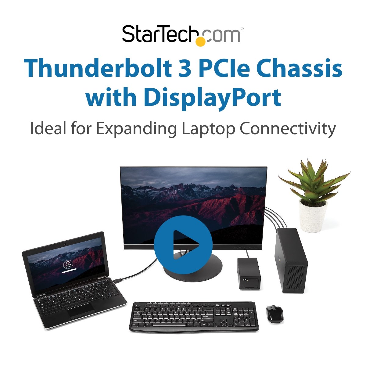 Thunderbolt 3接続PCIe外付けケース DisplayPortポート - Thunderbolt