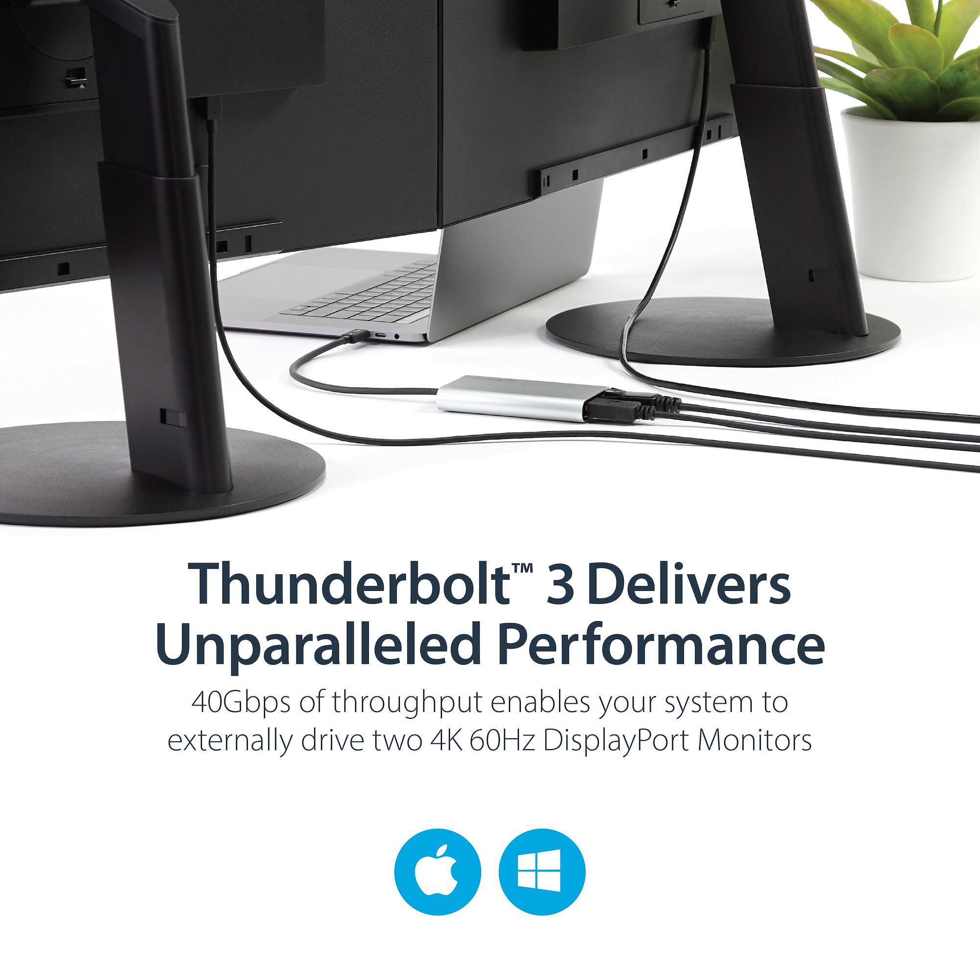 Amazon.com: StarTech.com Thunderbolt 3 to Dual DisplayPort