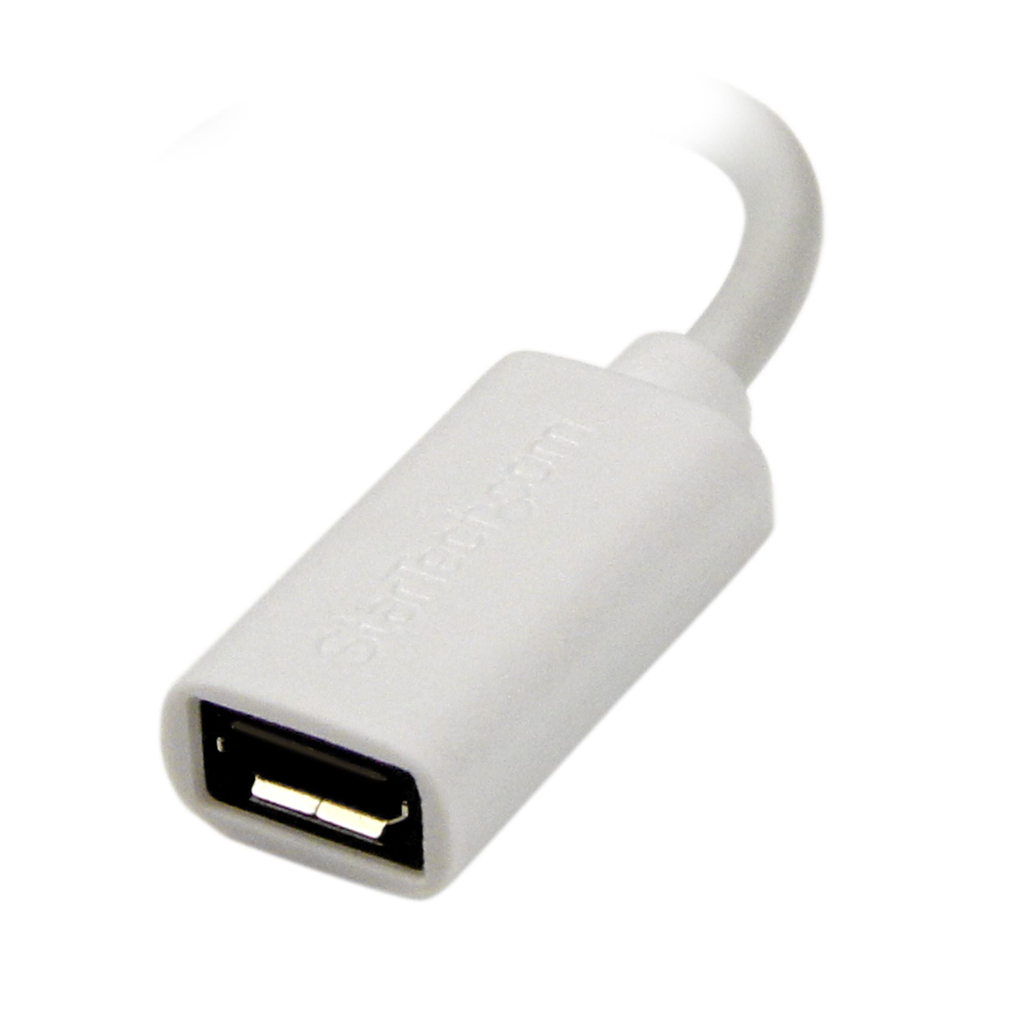 Apple Adaptateur Lightning vers Micro USB