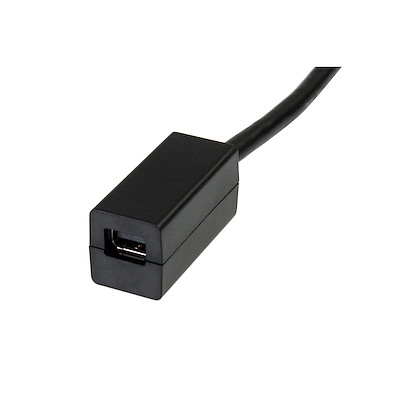 15cm DisplayPort - Mini DP変換ケーブル オス/メス - DisplayPort