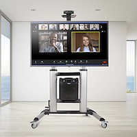 1110c-mobile-tv-cart.x.jpg
