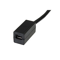 DisplayPort® to Mini DisplayPort Cable Adapter - 6in - M/F