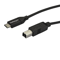 USB-C to USB-B Cable - M/M - 2 m (6 ft.) - USB 2.0